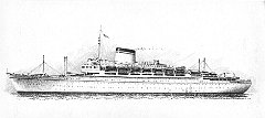 1951 - Augustus